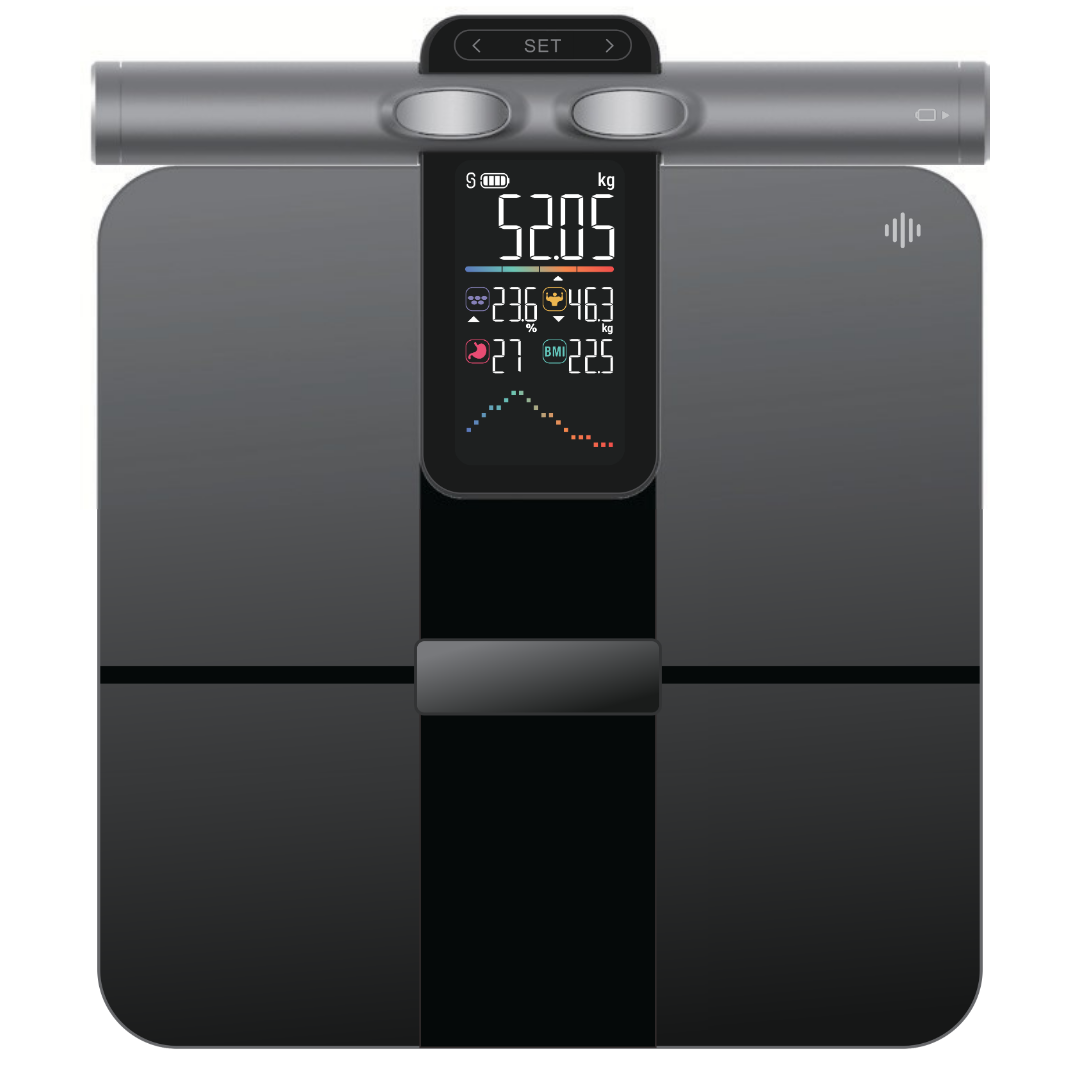 SMART BODY SCALE